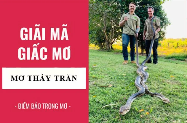 Chiêm bao thấy bị rắn đuổi và phải chạy trốn